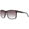 Brown Plastic Sunglasses